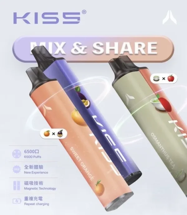 KISS 6500口 一次性煙棒 凱斯拋棄式 高顏值霧化棒 可充電：圖片 3