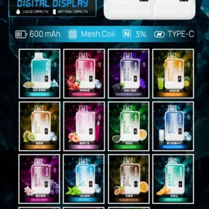SP2 GEM9000口